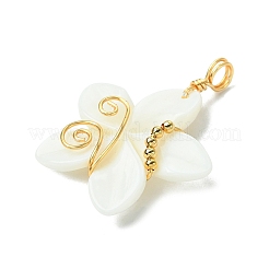Подвески из натуральных резных пресноводных ракушек&nbsp;PALLOY-JF03391
