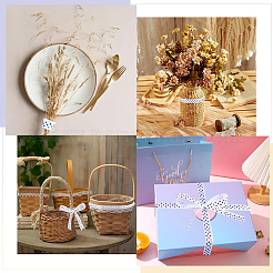 Полиэфирная лента&nbsp;OCOR-WH20816-013A