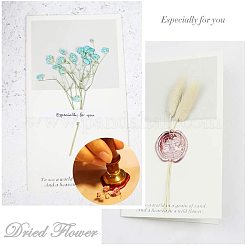 Scrapbook diy&nbsp;AJEW-WH0100-030