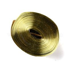 Rubans de velours de style scintillant&nbsp;SRIB-WH0011-020A