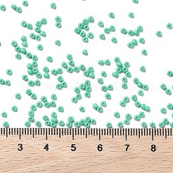 FGB 200 г&nbsp;SEED-JP0010-10-2mm