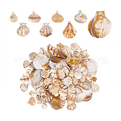 120шт 8 стиля акриловые подвески&nbsp;OACR-PH0004-40