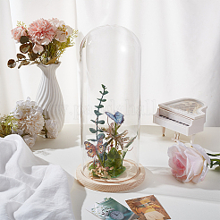 Couvercle de dôme en verre&nbsp;AJEW-WH0248-639A