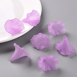 Прозрачные акриловые бусины&nbsp;X-BSF796-C08