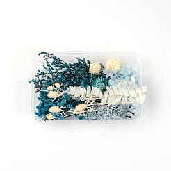 Pacchetto di materiale per fiori secchi&nbsp;DIY-WH0257-04