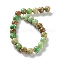 Brins de perles de jaspe impérial/régalite naturelle teintée/jaspe sédimentaire marin&nbsp;G-B124-C01-12