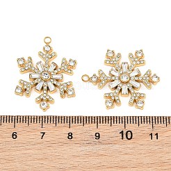 Pendentifs en strass en acier inoxydable 304&nbsp;RB-CBADC81-14G-03