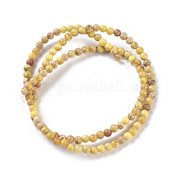 Fili di perle di diaspro imperiale naturale&nbsp;G-I248-03