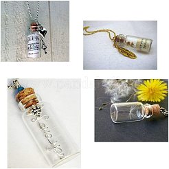 Стеклянные бутылки стеклянные фляги&nbsp;AJEW-PH0015-02