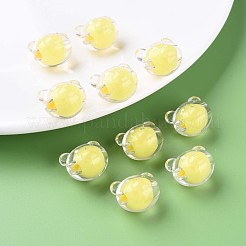 Прозрачные акриловые бусины&nbsp;MACR-S373-122-B05