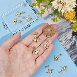 10шт латунные подвески&nbsp;KK-BBC0011-50