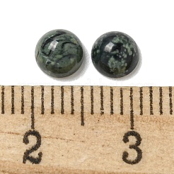 Natürliche Kambaba Jaspis Cabochons&nbsp;G-Q173-01B-22