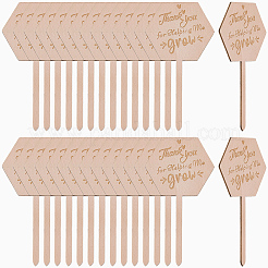 30 étiquette de plante en bois&nbsp;DIY-GF0014-19B