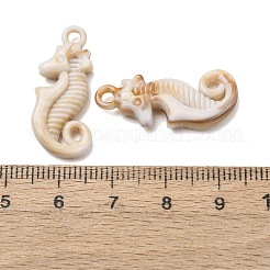 Imitat Shell Acryl Anhänger&nbsp;SACR-K005-03B