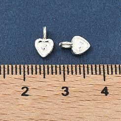 Breloques en 925 argent sterling&nbsp;STER-A050-02B-S