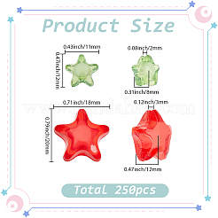 250шт 2 стиля прозрачные акриловые бусины&nbsp;TACR-SP0001-37