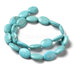 Fili di perline howlite naturale&nbsp;G-C025-12B