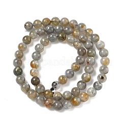 Природные лабрадорита бисер нитей&nbsp;G-U017-6mm-01-A