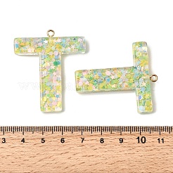 Подвески из прозрачной эпоксидной смолы&nbsp;LS-CRES-YW0002-09T