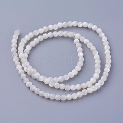 Muschelperlen Stränge&nbsp;SSHEL-E571-38-3mm