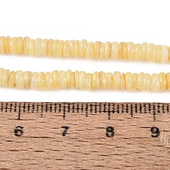 Natürlichen Süßwasser-Muschelperlen Stränge&nbsp;SHEL-Q028-01B