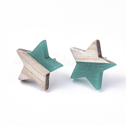 Clous d'oreilles en résine et bois&nbsp;EJEW-N017-001A-C02