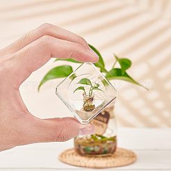 Supporto a sfera di cristallo di vetro&nbsp;ODIS-FG0001-04