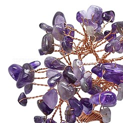 Украшения для витрин с натуральным аметистом пахира голая&nbsp;DJEW-K025-05D