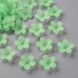 Protezioni tallone acrilico smerigliato, 5 -petal, fiore, verde chiaro, 19.5x20x5.5mm, Foro: 1.6 mm, circa 740pcs/500g