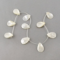 Chapelets de perles en coquillage naturel, perles percées, larme, blanc crème, 30.5x21x4.5mm, Trou: 1.5mm, Environ 10 pcs/chapelet, 16.3 pouce