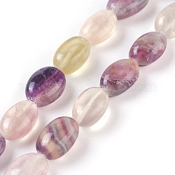 Chapelets de perles en fluorite naturel, ovale, 15~17x10~11x6.5~9mm, Trou: 1.5mm, Environ 25 pcs/chapelet, 15.66 pouce (39.8 cm)