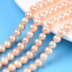 Hebras de perlas de agua dulce cultivadas naturales, patata, peachpuff, 5.5~6.5x5~6mm, agujero: 0.6 mm, aproximamente 66 pcs / cadena, 14.37~14.57 pulgada (36.5~37 cm)