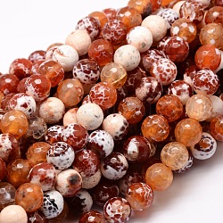 Dyed Natural Agate Faceted Round Beads Strands, Coral, 16mm, Hole: 1mm, about 25pcs/strand, 15.3 inch