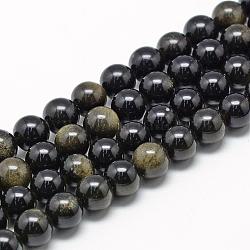 Natürliche goldenen Glanz Obsidian Perlen Stränge, Klasse ab, Runde, 16 mm, Bohrung: 2 mm, ca. 25 Stk. / Strang, 15.7 Zoll
