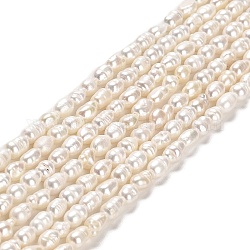 Natural Cultured Freshwater Pearl Beads Strands, Rice, Grade A+, PapayaWhip, 4.5~11x3~4mm, Hole: 0.5mm, about 62~64pcs/strand, 13.78 inch(35cm)