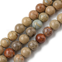Natürliche Aqua Terra Jaspis Perlen Stränge, Runde, 6 mm, Bohrung: 1 mm, ca. 62 Stk. / Strang, 15.7 Zoll (40 cm)