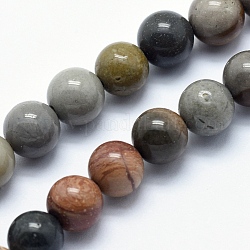 Fili di perle di agata / diaspro oceaniche naturali, tondo, 6mm, Foro: 1 mm, circa 60pcs/filo, 15.3 pollice (39 cm)