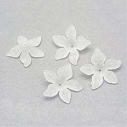 Perline acrilico trasparente, smerigliato, fiore, bianco, 29x27x7mm, Foro: 1.5 mm, circa 568pcs/500g