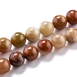 Chapelets de perles en bois pétrifié naturel, ronde, 8.5mm, Trou: 1.2mm, Environ 44 pcs/chapelet, 14.88'' (37.8 cm)
