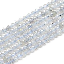 Chapelets de perles en labradorite naturelle , facette, ronde, 2x2mm, Trou: 0.5mm, Environ 188 pcs/chapelet, 15.9 pouce