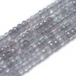 Chapelets de perles en labradorite naturelle , facette, rondelle, 3~3.5x2~2.5mm, Trou: 0.2mm, Environ 120~189 pcs/chapelet, 16.2~16.4 pouce (41.3~41.7 cm)