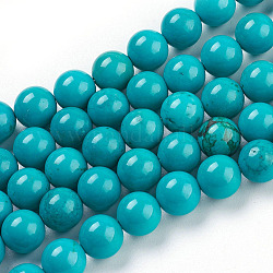 Natürliche Howlith Perlen Stränge, gefärbt, Türkis, Runde, Türkis, 8 mm, Bohrung: 1 mm