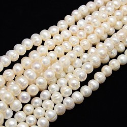 Grado de hebras de perlas de agua dulce cultivadas naturales, patata, blanco cremoso, 11~12mm, agujero: 0.8 mm, aproximamente 36 pcs / cadena, 13.77 pulgada ~ 14.17 pulgadas
