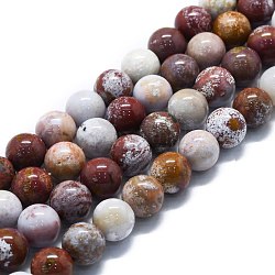 Chapelets de perles en jaspe d'océan naturelle, ronde, 10mm, Trou: 1.2mm, Environ 39 pcs/chapelet, 15.75'' (40 cm)