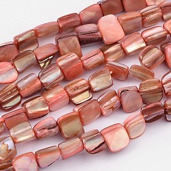 Shell perle naturali fili, rosa caldo, tinto, circa 8~17.5 mm di lunghezza, 5~8 mm di larghezza, 5 mm di spessore, Foro: 1 mm, 40 pcs / Filo, 16 pollice