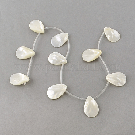 Chapelets de perles en coquillage naturel SSHEL-Q296-01-1