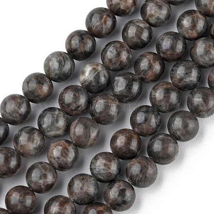 Chapelets de perles en labradorite naturelle  G-G0003-C03-1