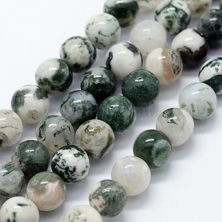 Chapelets de perles en agate d'arbre naturelle G-I199-03-12mm-1