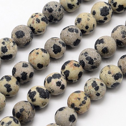 Chapelets de perles en jaspe dalmatien naturelle G-D685-8mm-1