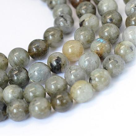 Chapelets de perles rondes en labradorite naturelle G-E334-8mm-19-1